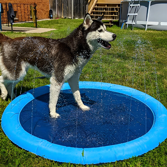Piscine pour chien-Arrosoir