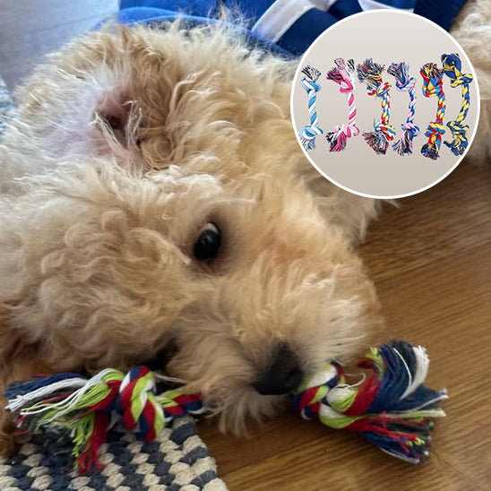 Jouet pour chien-WoofTwist™