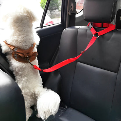 Laisse pour chien-Pawsecure™