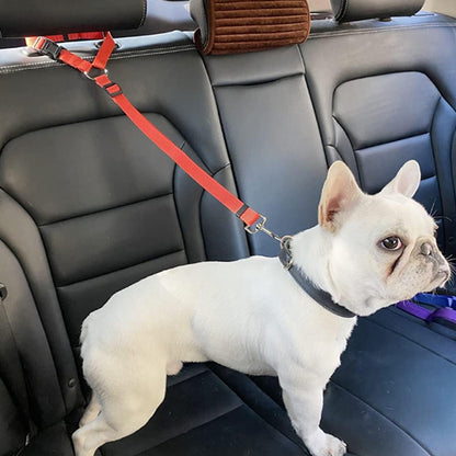 Laisse pour chien-Pawsecure™