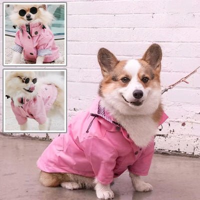 Imperméable pour chien - VISIBLE - Fun en chien