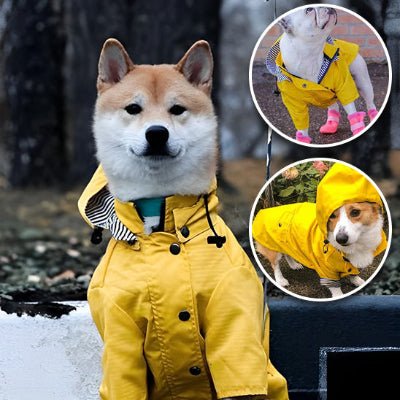 Imperméable pour chien - VISIBLE - Fun en chien