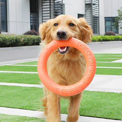 Jouet pour chien-Flottant orange