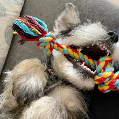 Jouet pour chien-WoofTwist™
