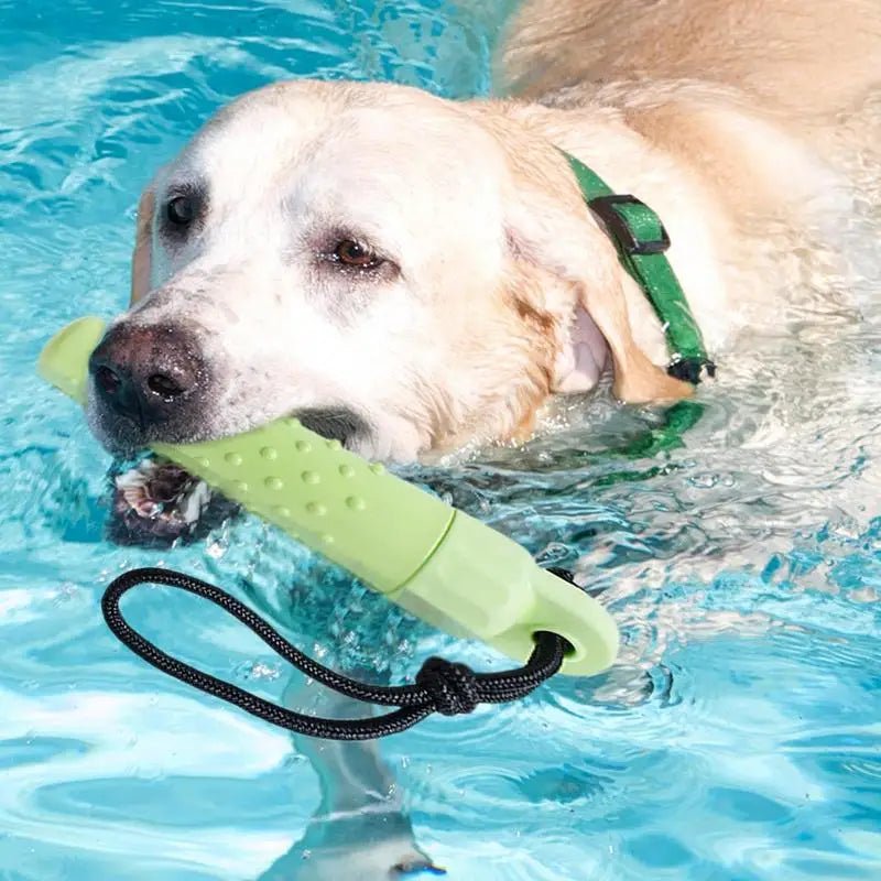 Jouet chien - FLOTTANT VERT - Fun en chien