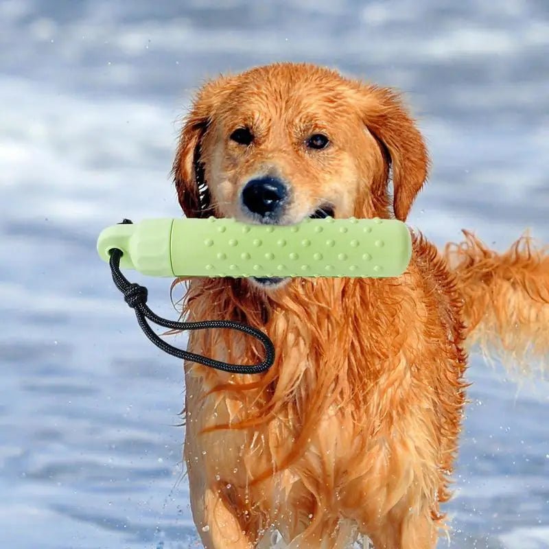 Jouet chien - FLOTTANT VERT - Fun en chien