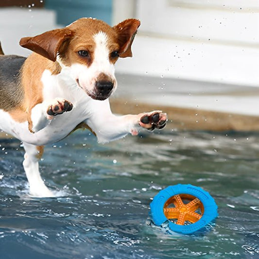 Jouets pour chien - FLOTTANT - Fun en chien