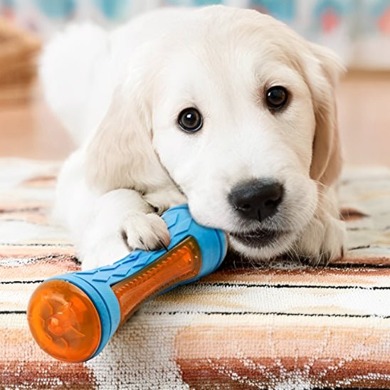 Jouets pour chien - FLOTTANT - Fun en chien
