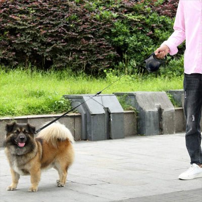 Laisse - LumiLaisse™ - Fun en chien