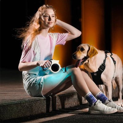 Laisse - LumiLaisse™ - Fun en chien