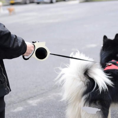 Laisse - LumiLaisse™ - Fun en chien