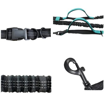 laisse pour chien - TRIPLE - Fun en chien