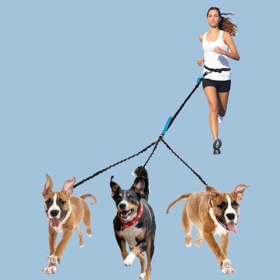 laisse pour chien - TRIPLE - Fun en chien