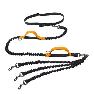 laisse pour chien - TRIPLE - Fun en chien