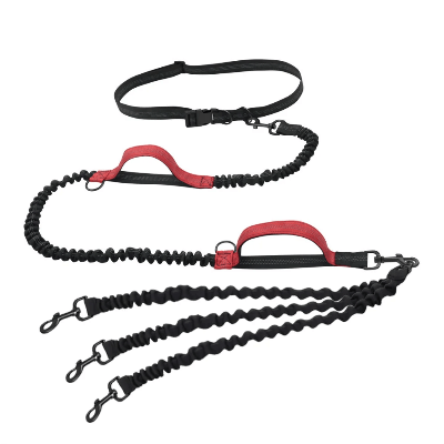 laisse pour chien - TRIPLE - Fun en chien