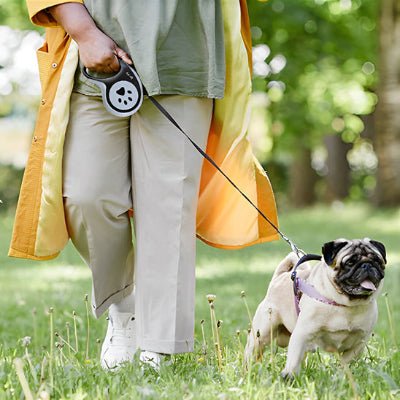 Laisse - WoofFlex™ - Fun en chien