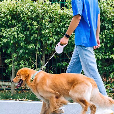Laisse - WoofFlex™ - Fun en chien