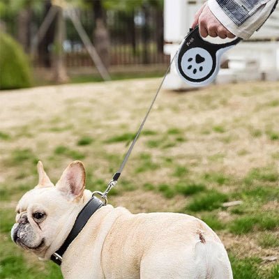 Laisse - WoofFlex™ - Fun en chien
