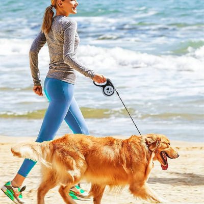 Laisse - WoofFlex™ - Fun en chien