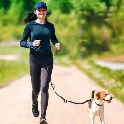 UNE DAME COURT AVEC SON BEAGLE AVEC SA LAISSE CANICROOS