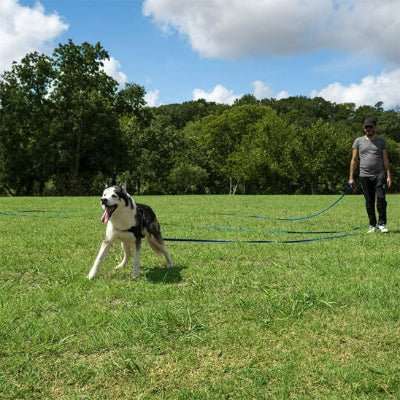 Longe chien - MARINE - Fun en chien