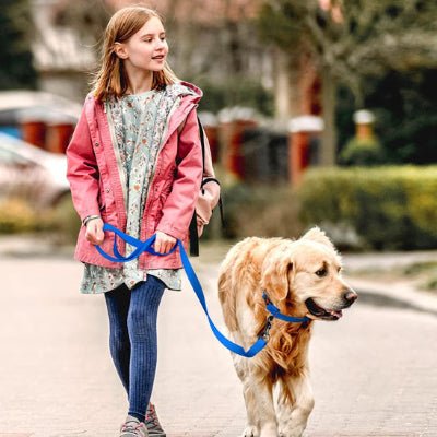 Longe pour chien - Biothane Flex™ - Fun en chien