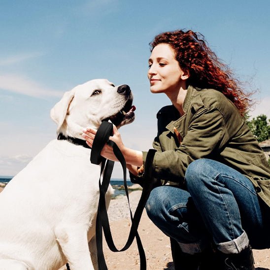 Longe pour chien - Biothane Flex™ - Fun en chien