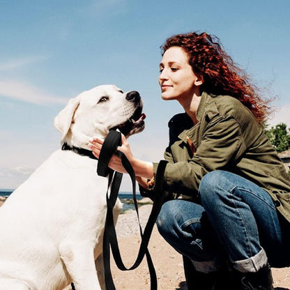 Longe pour chien - Biothane Flex™ - Fun en chien