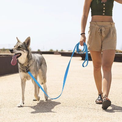 Longe pour chien - Biothane Flex™ - Fun en chien
