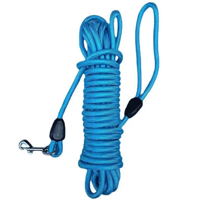 Longe pour chien - BLEU - Fun en chien