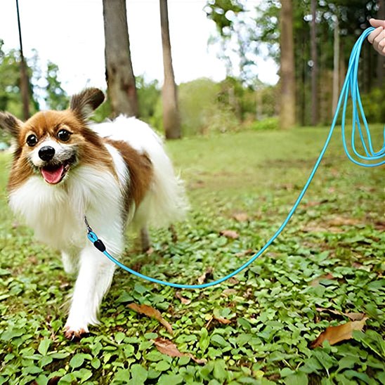 Longe pour chien - BLEU - Fun en chien