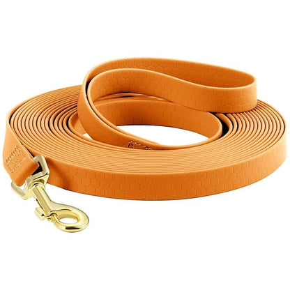 Longe pour chien - EcoWalk™ - Fun en chien