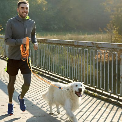 Longe pour chien - ORANGE - Fun en chien