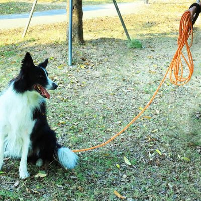 Longe pour chien - ORANGE - Fun en chien