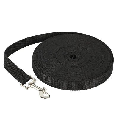 Longe pour chien - Rappel - Fun en chien