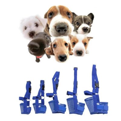 Muselière chien - BLEU - Fun en chien
