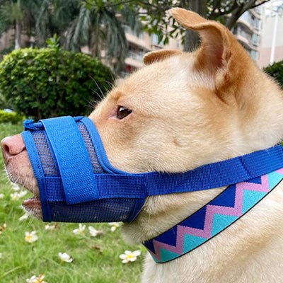 Muselière chien - BLEU - Fun en chien