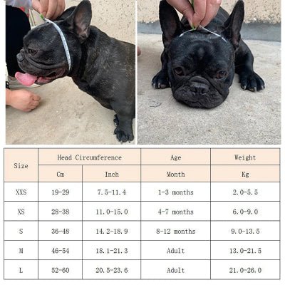 Muselière chien - Brachy - Fun en chien