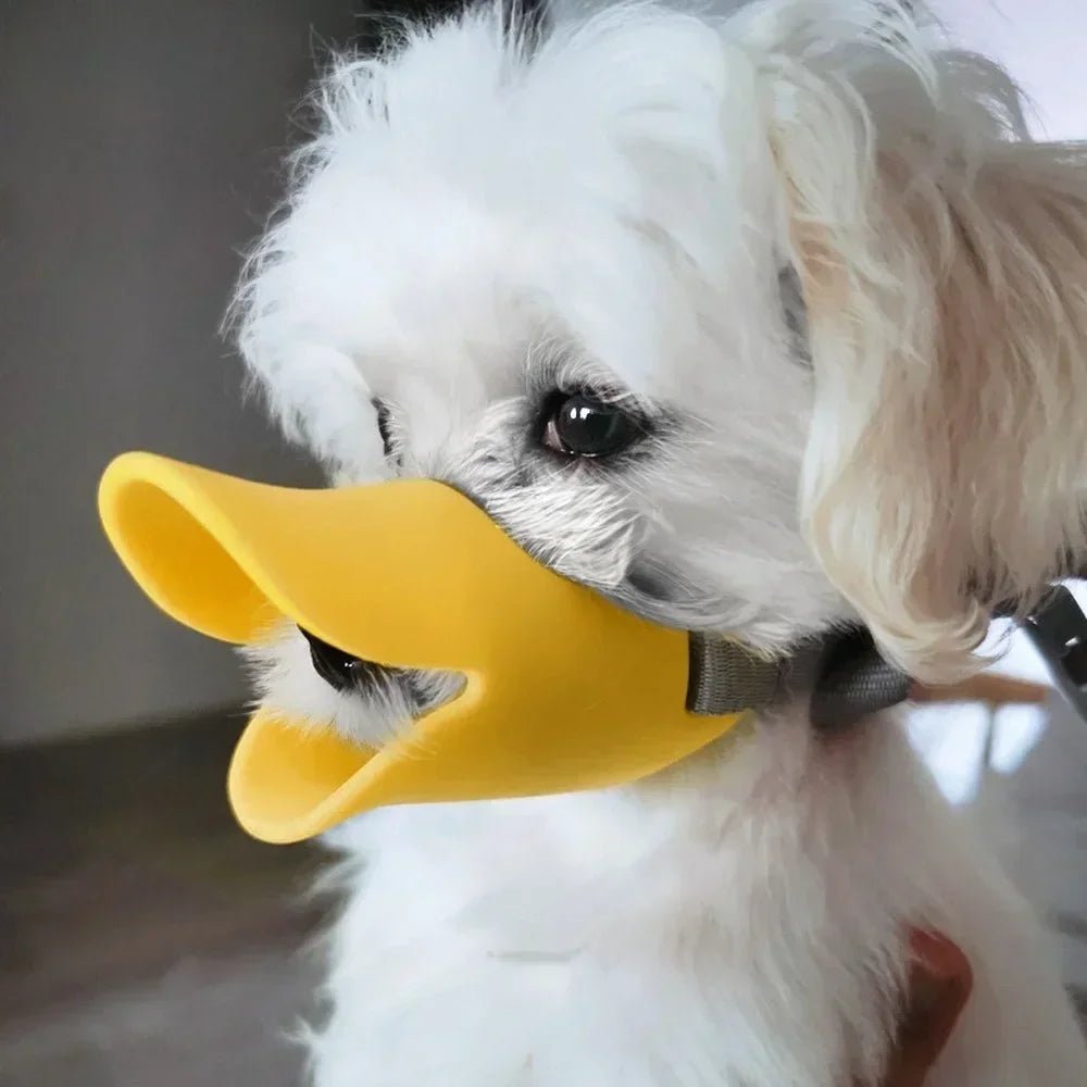 Muselière chien - CANARD - Fun en chien