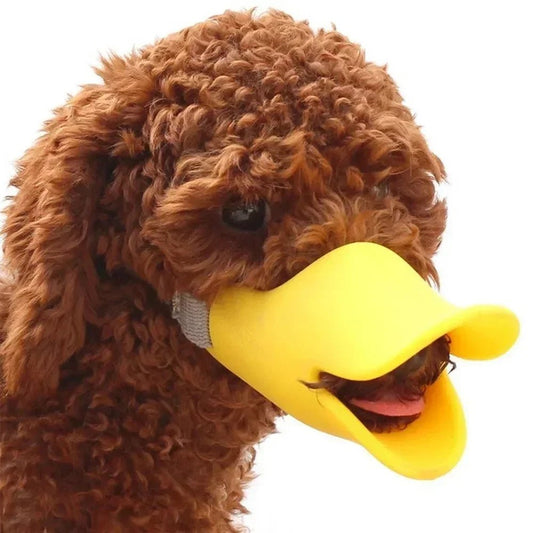 Muselière chien - CANARD - Fun en chien