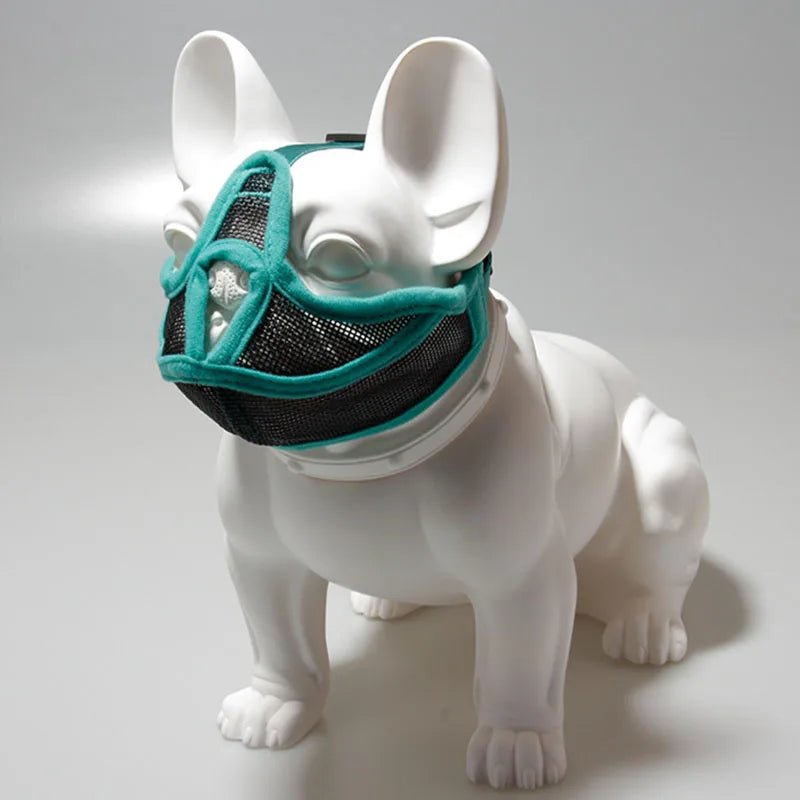 Muselière chien - NEZ PLAT - Fun en chien