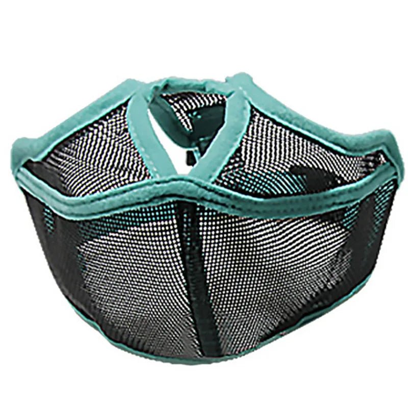 Muselière chien - NEZ PLAT - Fun en chien