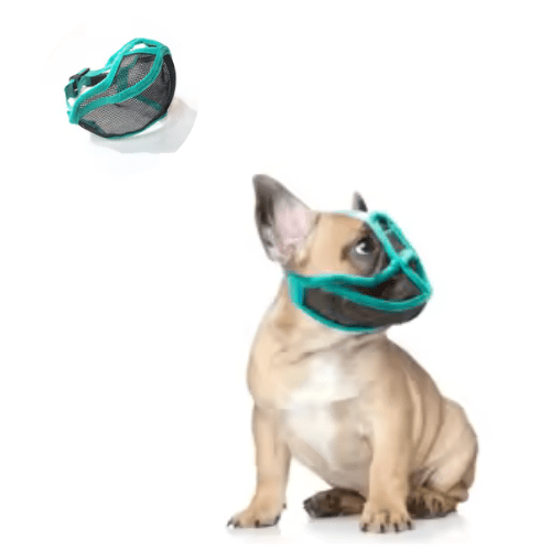 Muselière chien - NEZ PLAT - Fun en chien