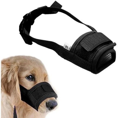 Muselière chien - NOIR - Fun en chien