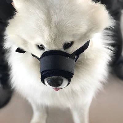 Muselière chien - NOIR - Fun en chien