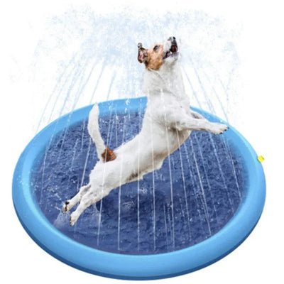 Piscine pour chien - Arrosoir 