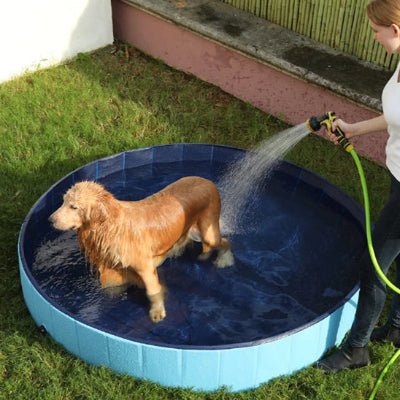 Piscine pour chien - BLEU - Fun en chien