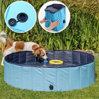 Piscine pour chien - BLEU - Fun en chien