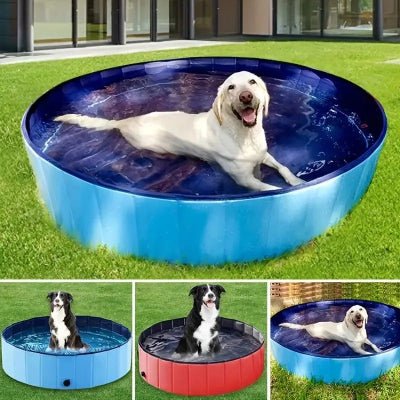 Piscine pour chien - BLEU - Fun en chien