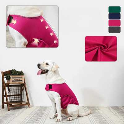 pull chien - Anxiété - Fun en chien